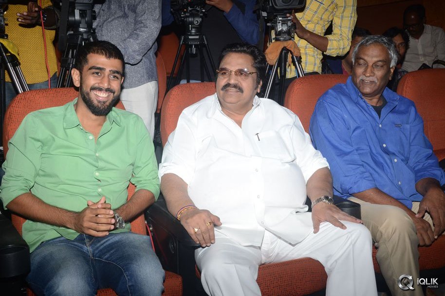 Pelli-Choopulu-Movie-Success-Meet